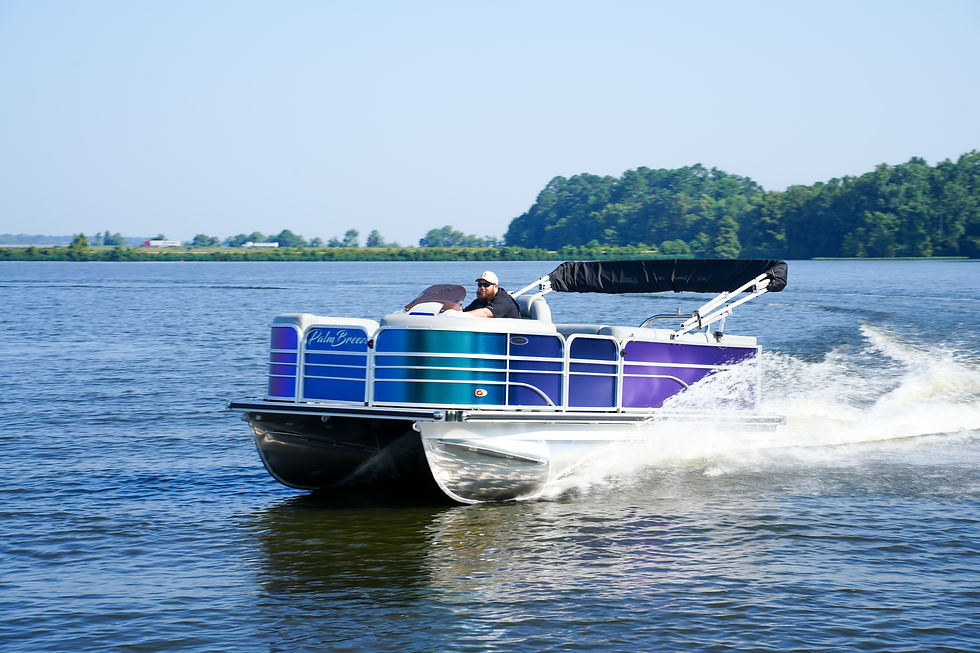 Palm Breeze Pontoons Pontoon & Tritoon Boats for Sale in Americus, GA